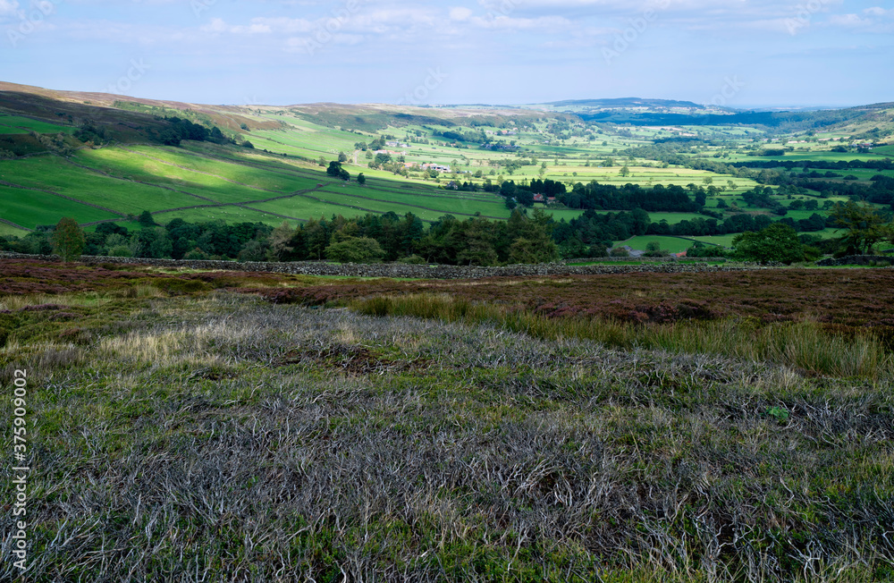 North York Moors with heather in bloom, fields, under blue sky. Glaisdale, UK. North York Moors with heather in bloom, fields, under blue sky. Glaisdale, UK.
