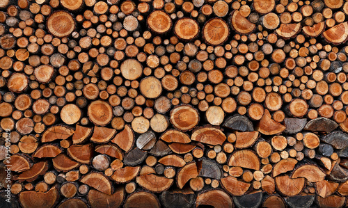 Stack of piled up fire wood.