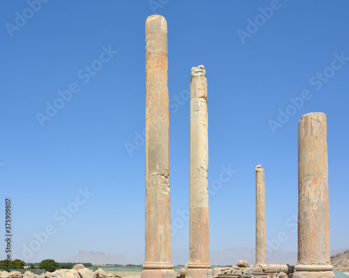 Columns of Apadana Hall in Persepolis. View from the south.