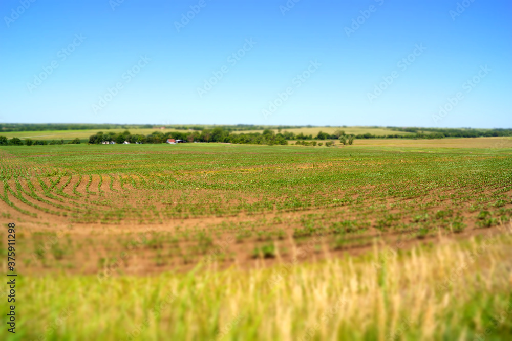 green field in Kansas