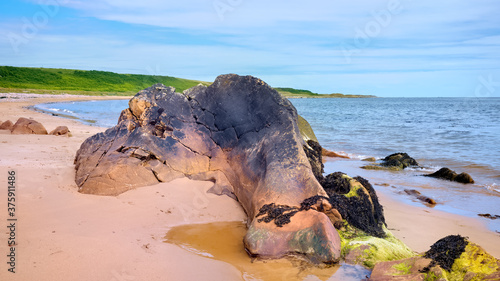Rocks on the shore between Brora and Golspie in the Highlands photo