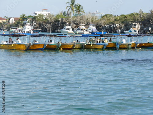 Santa Cruz (englisch auch Indefatigable Island) ist die zweitgrößte, Insel des Galápagos-Archipels. Hier der Hafen.