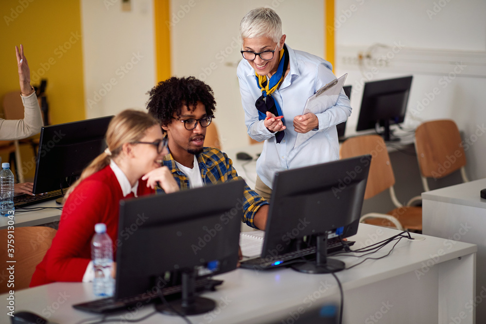 Obraz premium Teacher looking in computer of pupils