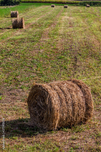 Wallpaper Mural A haystack in a field in summer Torontodigital.ca