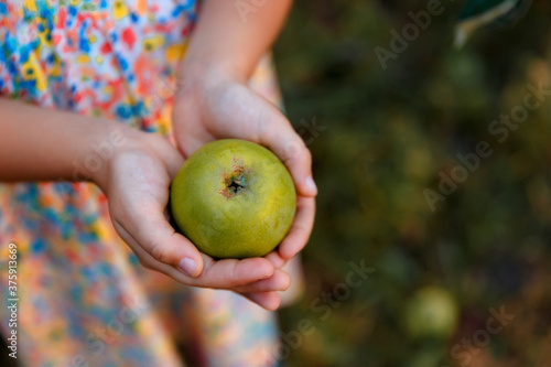 girl holding a green apple