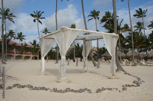 palm trees on the beach