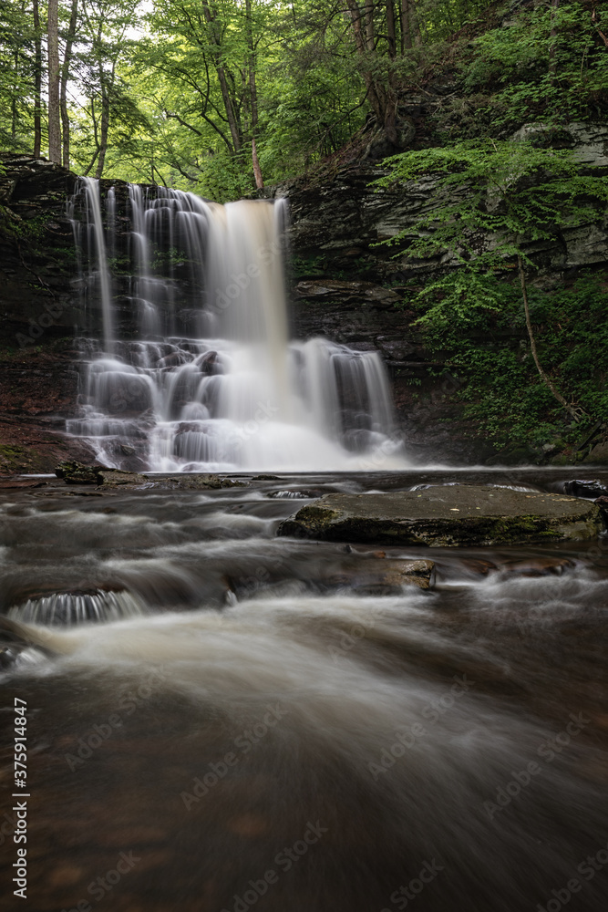 Obraz premium Ricketts Glen Again