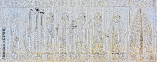 Photos Bactrian Tribute Bearers, bas-relief  on the eastern stairway of the Apadana Pal