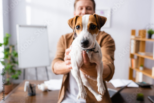 selective focus of businessman holding jack russell terrier dog in office © LIGHTFIELD STUDIOS