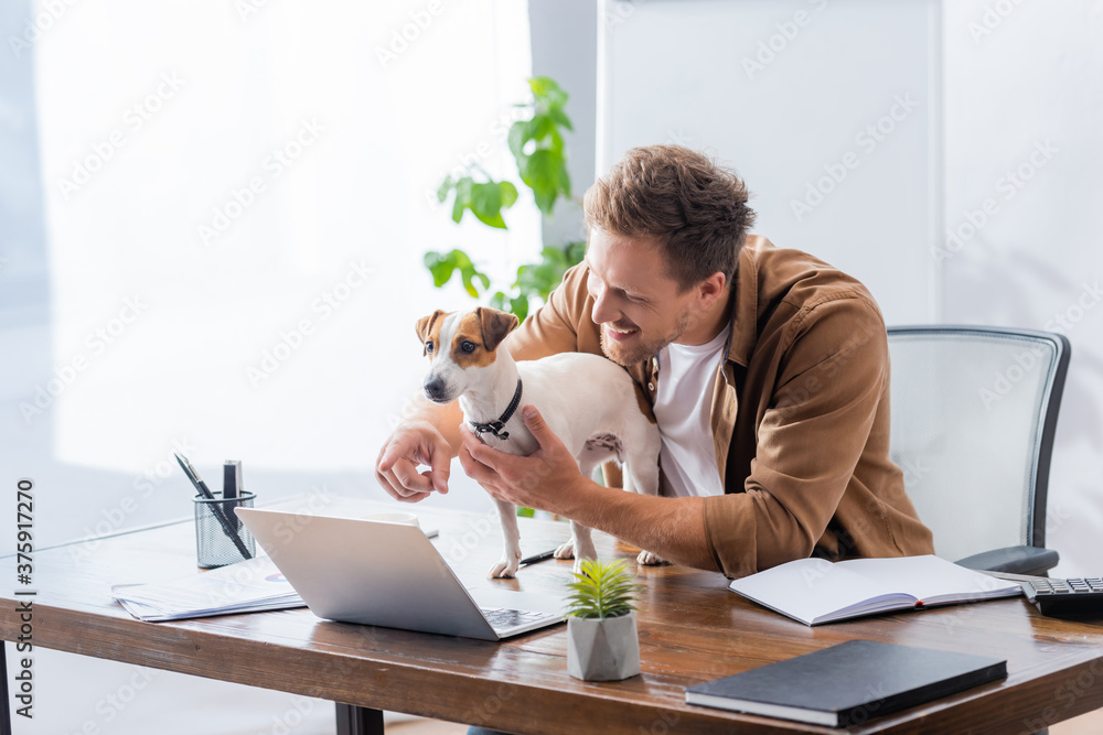 businessman pointing with finger at laptop near jack russell terrier dog businessman pointing with finger at laptop near jack russell terrier dog