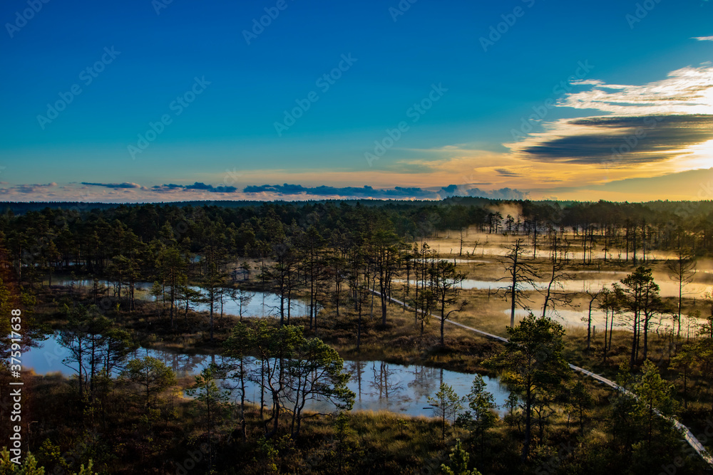 A beautiful aerial summer or autumn sunset or sunrise with many foggy lakes, a forest and some trees in the grass with copy space
