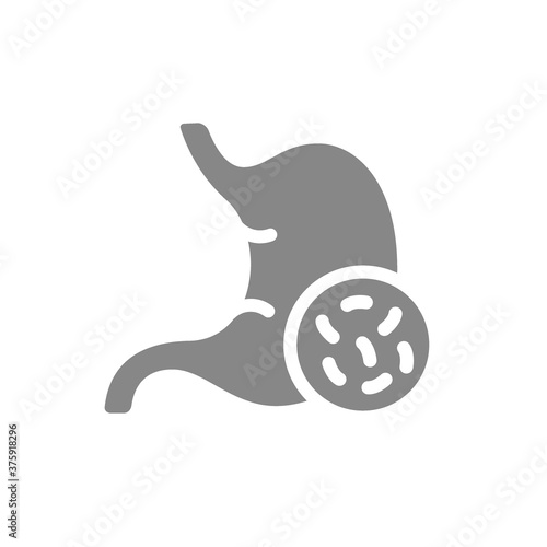 Stomach with bacteria grey icon. Helicobacter pylori, salmonella symbol