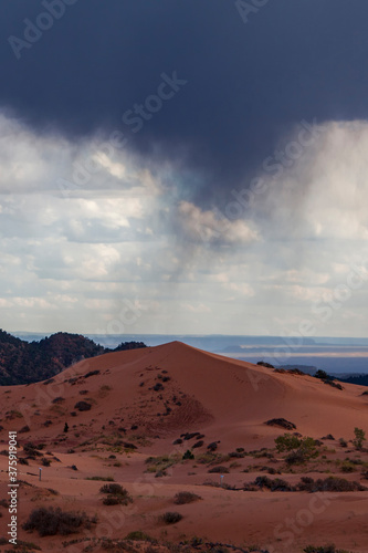 Large sand dune in the Coral Pink Sand Dunes State Park near Kanab, Utah, USA