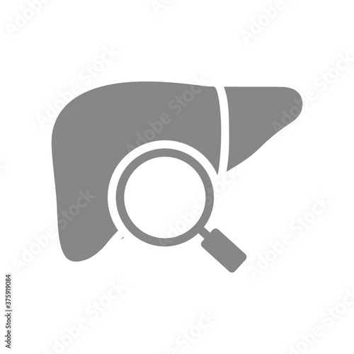 Liver with magnifying glass gray icon. Organ research symbol