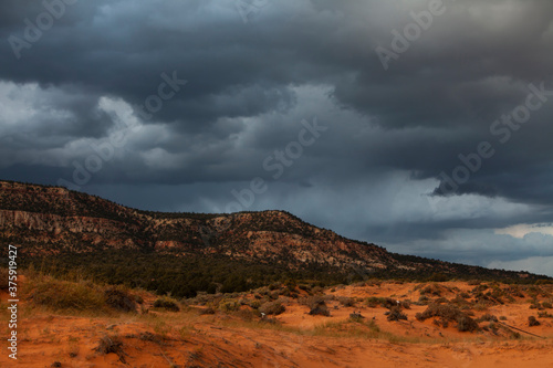 Stormy sky and clouds before sunset above the Coral Pink Sand Dunes State Park near Kanab  Utah  USA