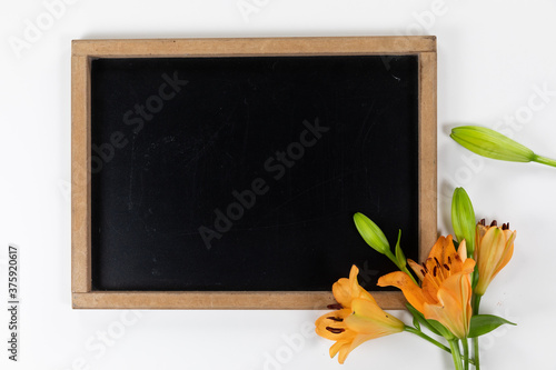 View of a black board with orange flowers on white background