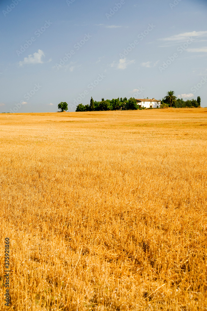 Sant Joan.Es Pla.Mallorca.Illes Balears.España. Sant Joan.Es Pla.Mallorca.Illes Balears.España.