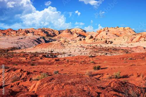 Rock formations in the Nevada desert at Valley of Fire State Park  USA