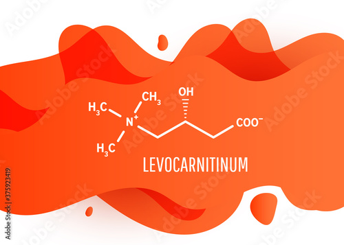 Levocarnitinum structural chemical formula with liquid fluid gradient shape with copy space on white background