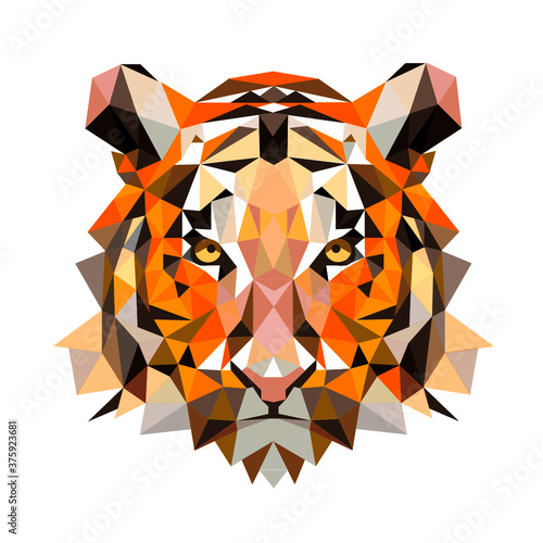 Tiger Illustration Vector Polygon