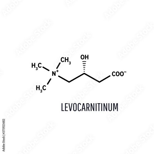Levocarnitinum structural chemical formula on white background