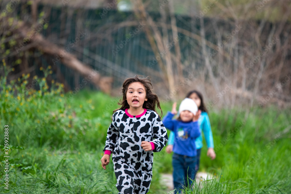 Fototapeta premium girls on the grass