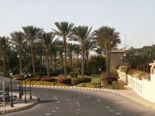 Hurghada   gypten Zentrum Tourismus Urlaub Hotel Whater Park Palmen