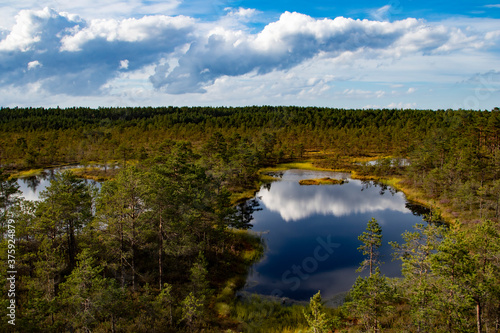 A beautiful aerial summer or autumn day view with lakes, a forest and some trees in the grass under a blue cloudy sky