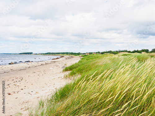 Fototapeta Naklejka Na Ścianę i Meble -  Beach and grass on the southern region of Sweden