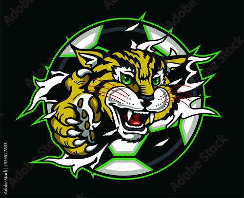 wildcat soccer team mascot ripping out of ball for school, college or league
