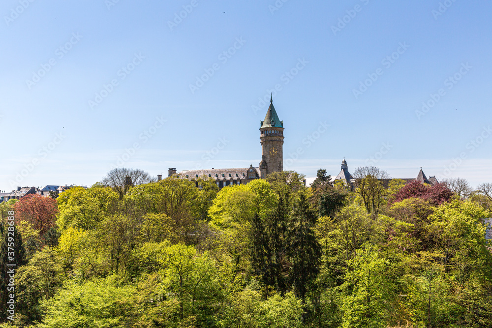 Leafy trees with green leaves with the banking museum tower and clock in the background, sunny spring day with a blue sky in Luxembourg city