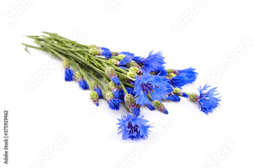 Cornflowers bouquet isolated on white background