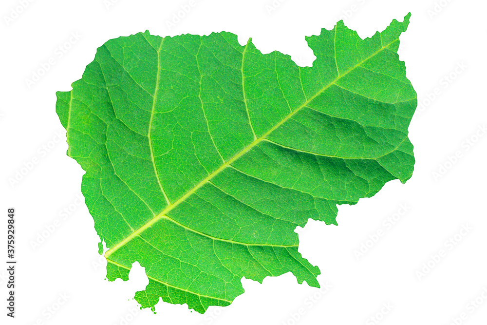 Map of Cambodia in green leaf texture on a white isolated background. Ecology, climate concept, 3d illustration