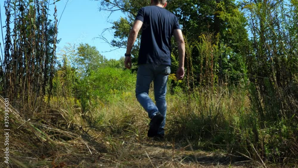 A man walks through a deciduous forest in summer. Hiking and walks. A man walks through a deciduous forest in summer. Hiking and walks.