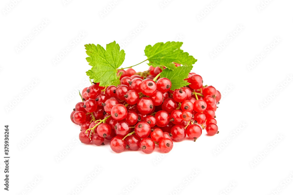 Red currant berries isolated on white background Red currant berries isolated on white background