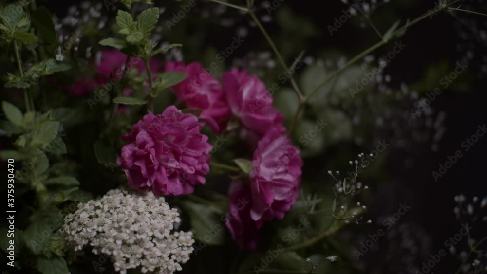 Moving light on bouquet in darkness. Transition from dark to bright Moving light on bouquet in darkness. Transition from dark to bright