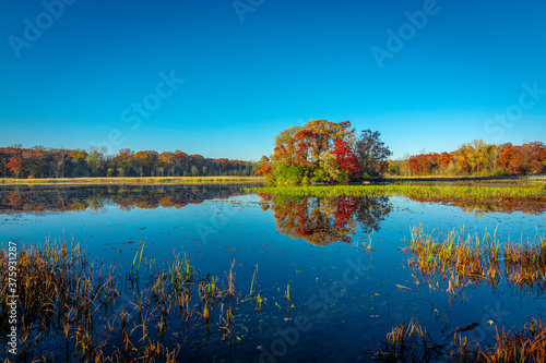 Fototapete Season change