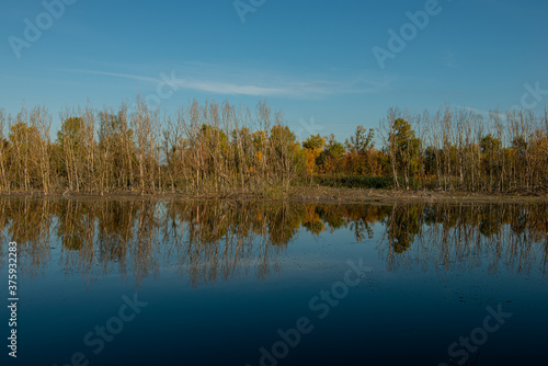 Deciduous forest along the bank and reflected in the water of the river.