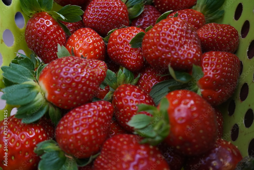 strawberries in a market strawberries in a market