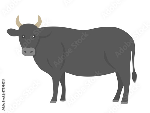 黒い牛のイラスト