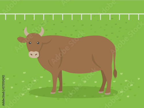 牧場にいる牛のイラスト