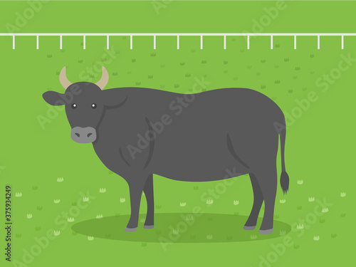 牧場にいる牛のイラスト