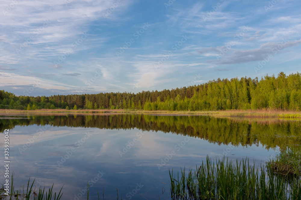 Fototapeta premium beautiful view of the lake on a warm summer day
