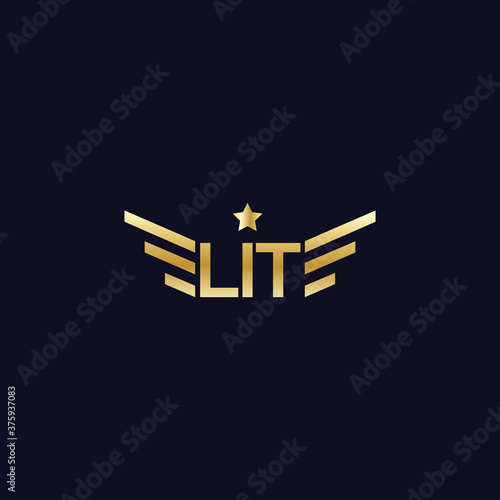simple, elegant, luxury, and modern logo design. gold logotype forming wings and star. Elite logomark or wordmark design. vector icon illustration inspiration