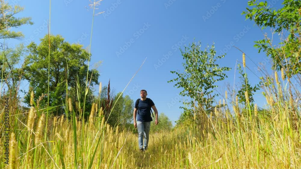 A tourist with a backpack walks along the path of an autumn meadow in the forest. A tourist with a backpack walks along the path of an autumn meadow in the forest.