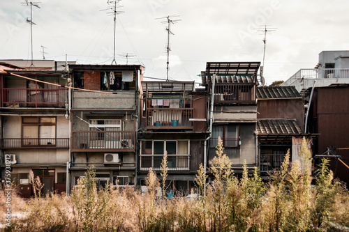 Old tenement house and autumn grass - Onomichi Japan  尾道の古い長屋と秋の草
 photo