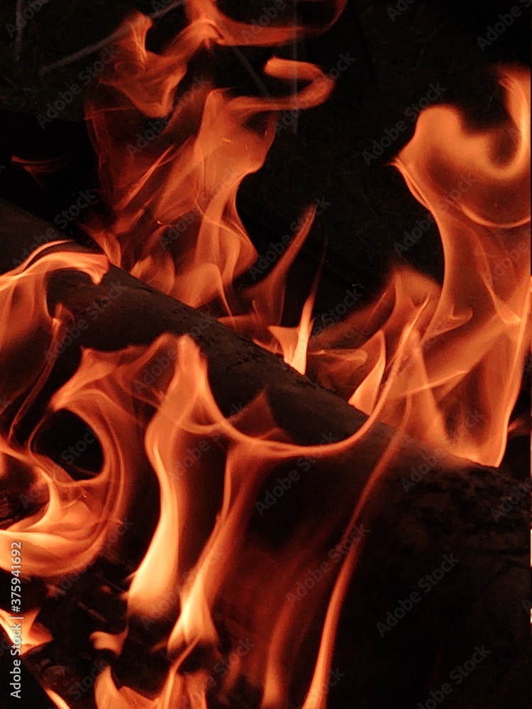 Fototapeta premium fire in the fireplace