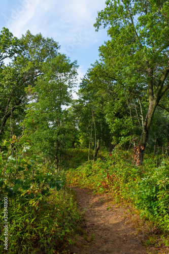 Hiking Trail