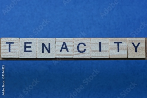 Slika na platnu gray word tenacity in small square wooden letters with black font on a blue back