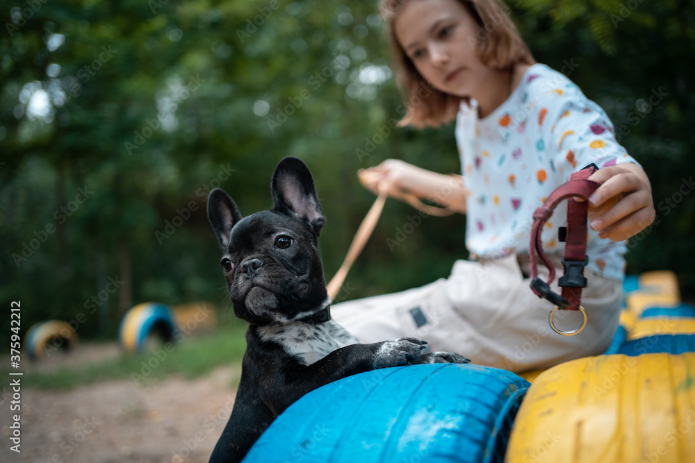 girl play with cute little frenchie bulldog puppy in park at summer day girl play with cute little frenchie bulldog puppy in park at summer day